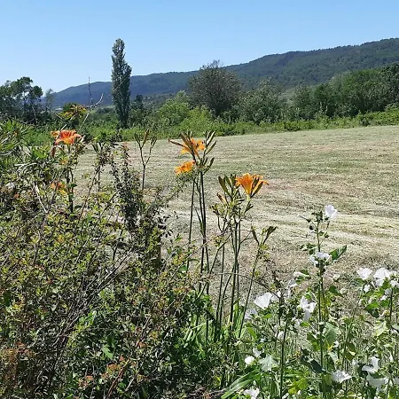 Holiday home La Musardiere